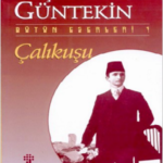 Calikusu