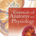 Anatomy-Physiology
